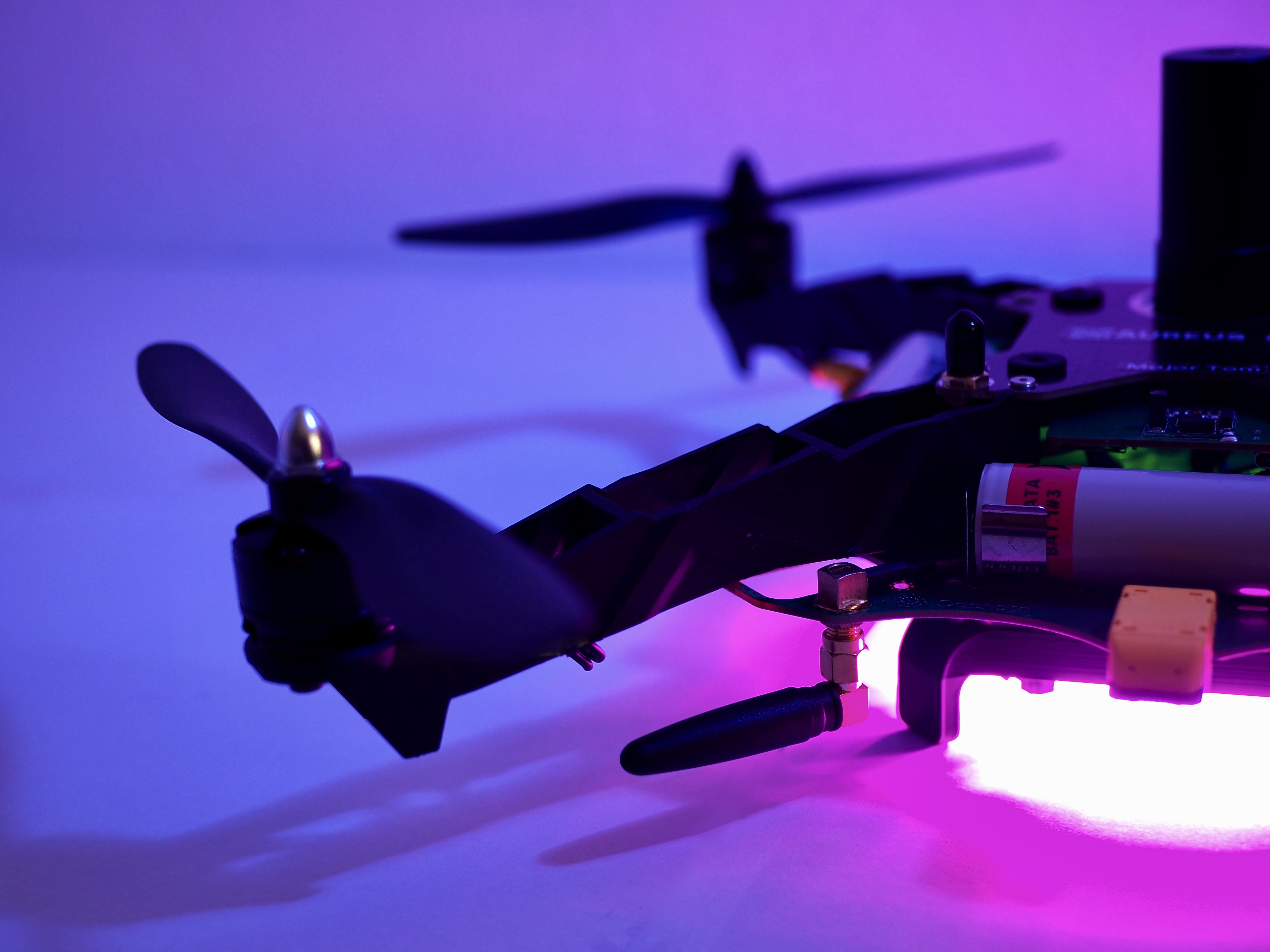 Ingénierie Odonata en conditions réelles